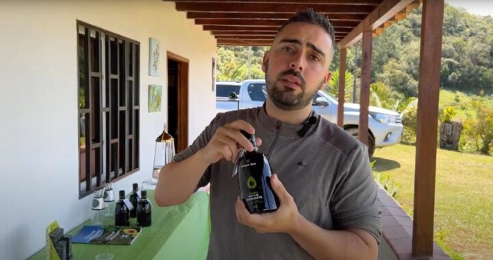 Profesor Hass. Los beneficios del aguacate emergen desde Guarne